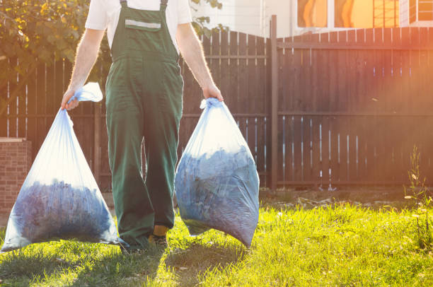 Best Construction Debris Removal  in Hagerstown, IN